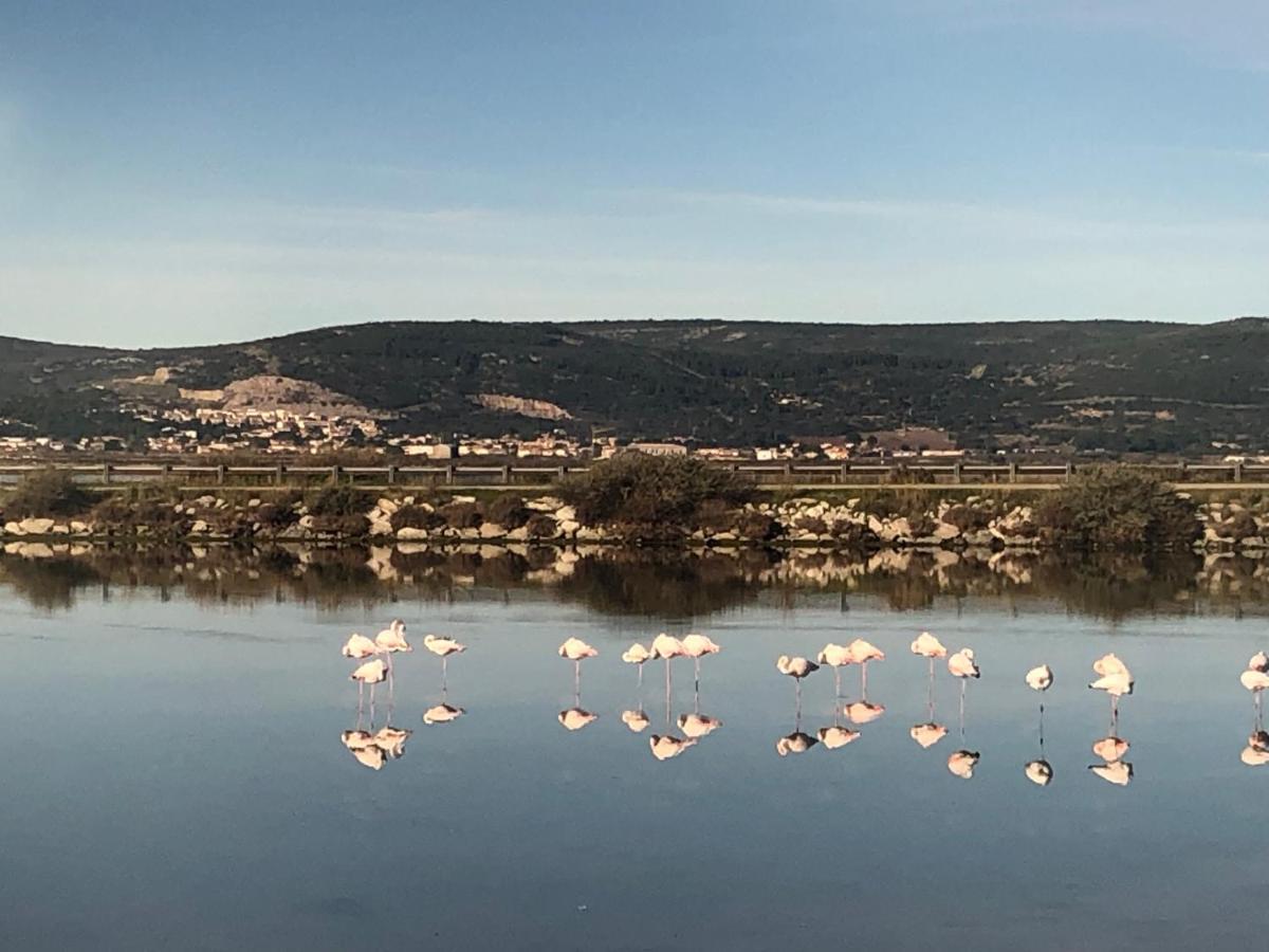 Flamants Roses 1 Pers 6 Frontignan Exterior foto